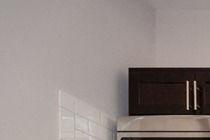 renovated stainless steel kitchen remodel hyde park chicago apartment rent
